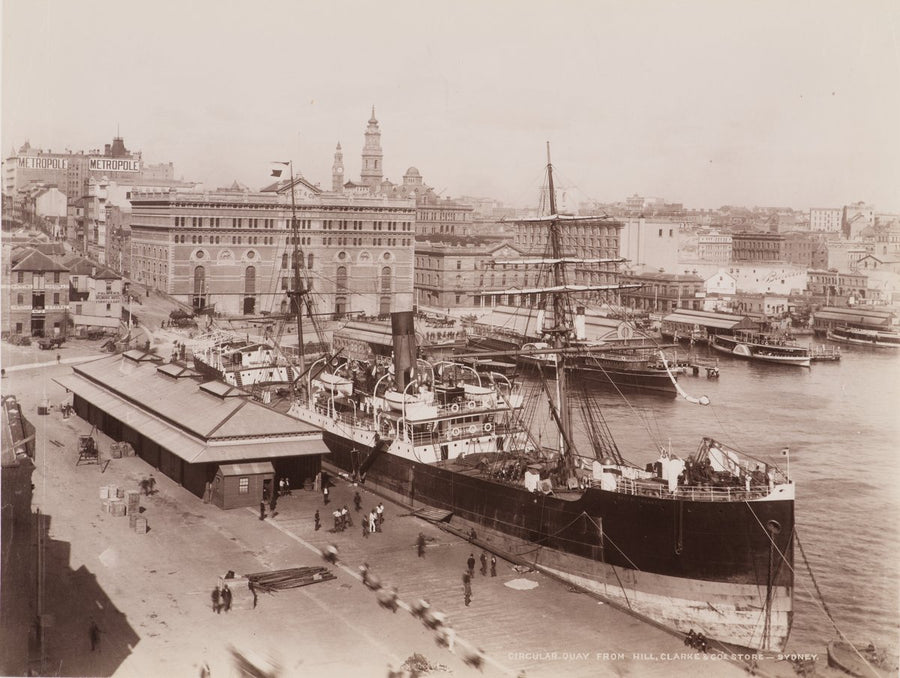 Circular Quay from the Hill, Clarke & Co store, Sydney — photograph, from Sydney CBD, circa 1892