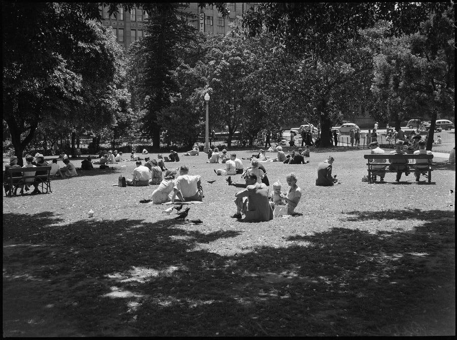 Lunchtime on a Sydney park lawn, about 1950 — photograph, from Sydney, New South Wales, circa 1950
