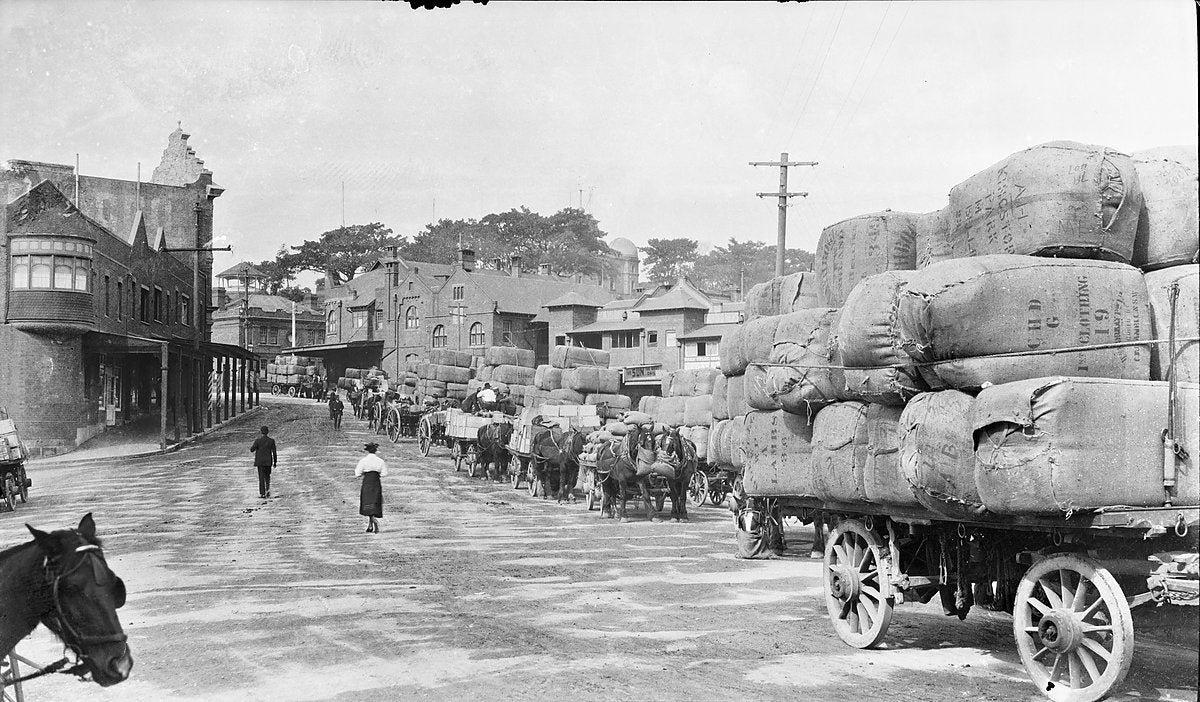 Wool-laden drays queued along a Sydney street — photograph, from Sydney CBD, circa 1920