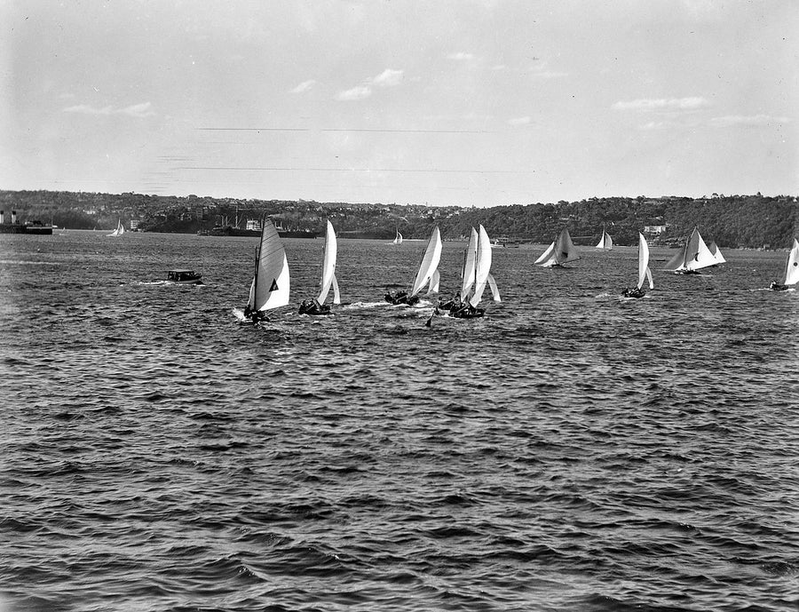 Sailing dinghies on Sydney Harbour — photograph, from Sydney, 1937–41