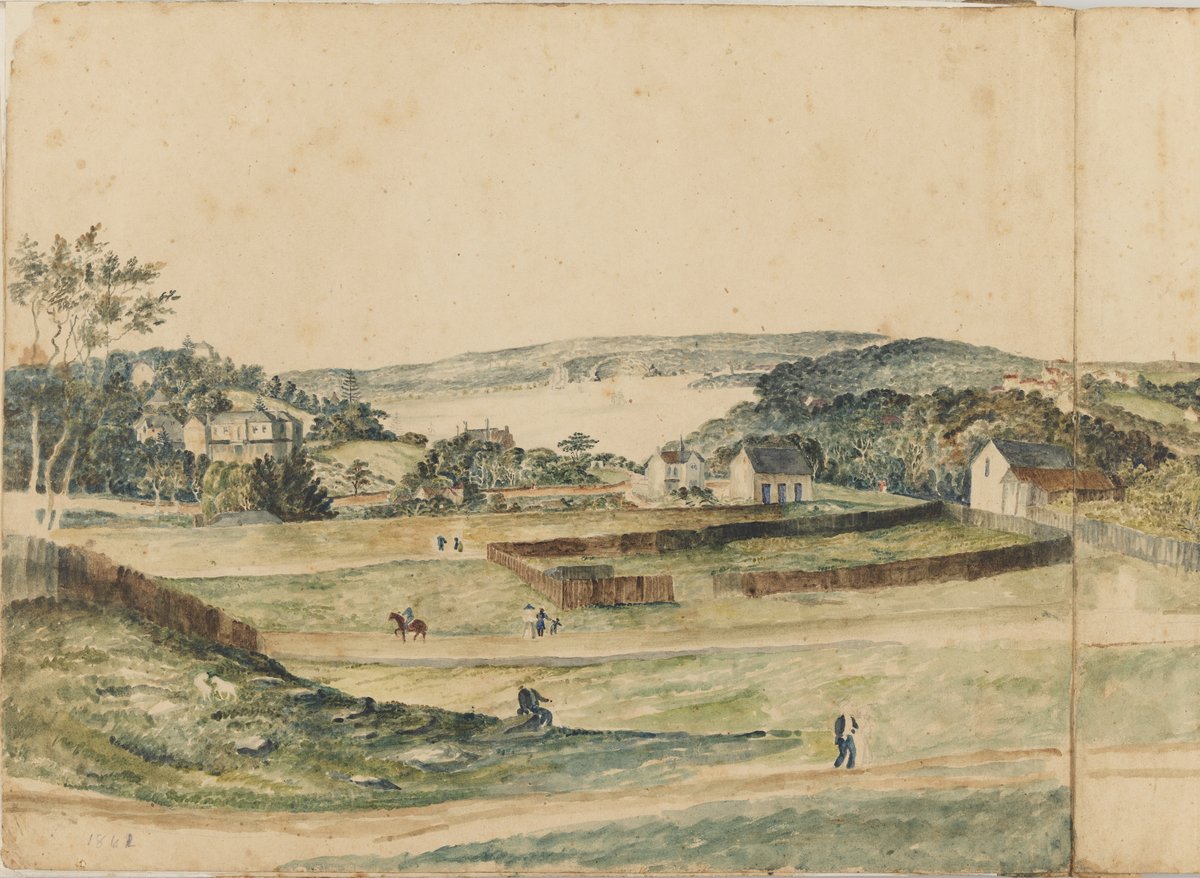 Paddocks and houses above Sydney Harbour, 1861 — illustration, circa 1861