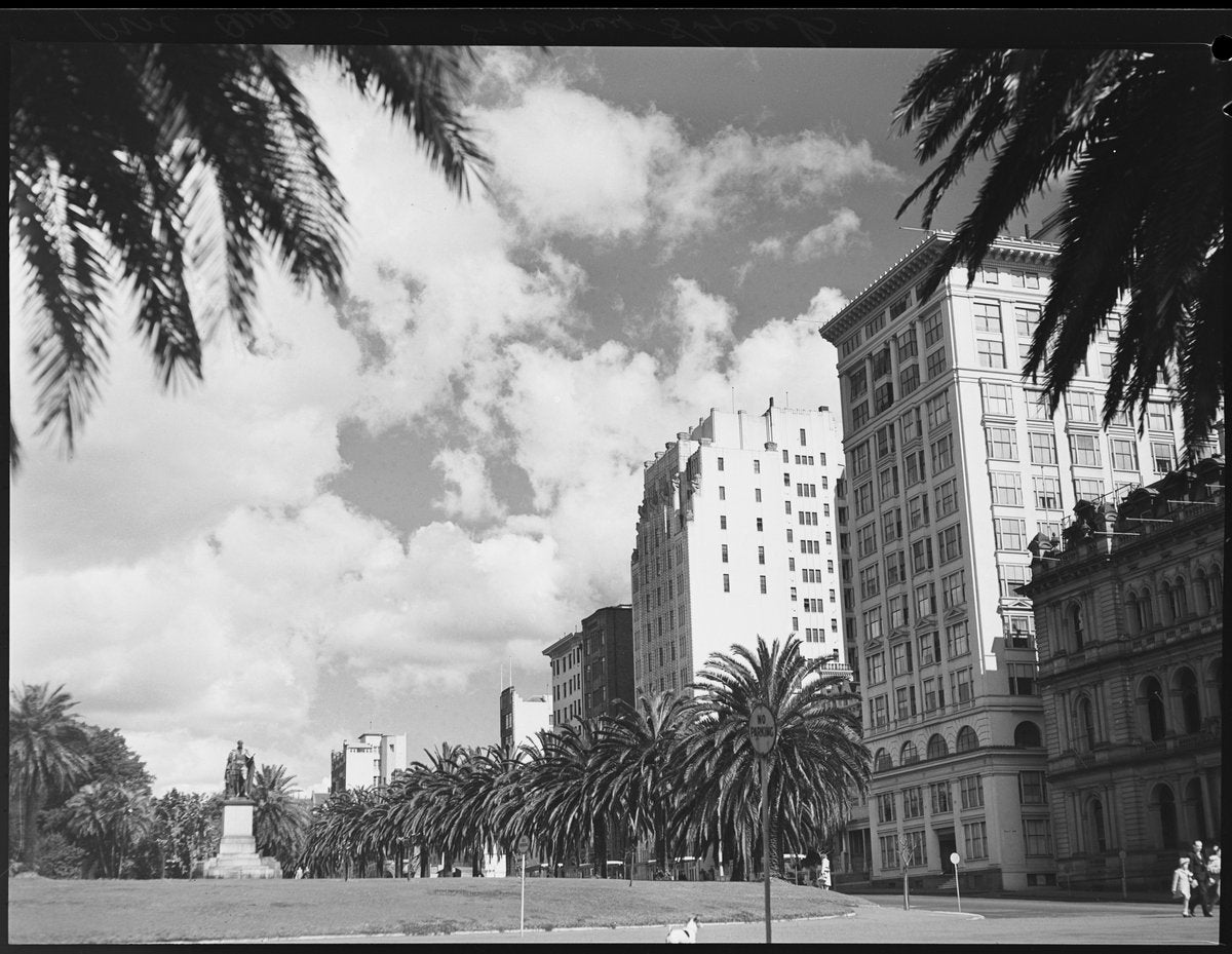 Macquarie Street and the Treasury building from the Domain, 1951 — photograph, from The Domain, Sydney, circa 1951