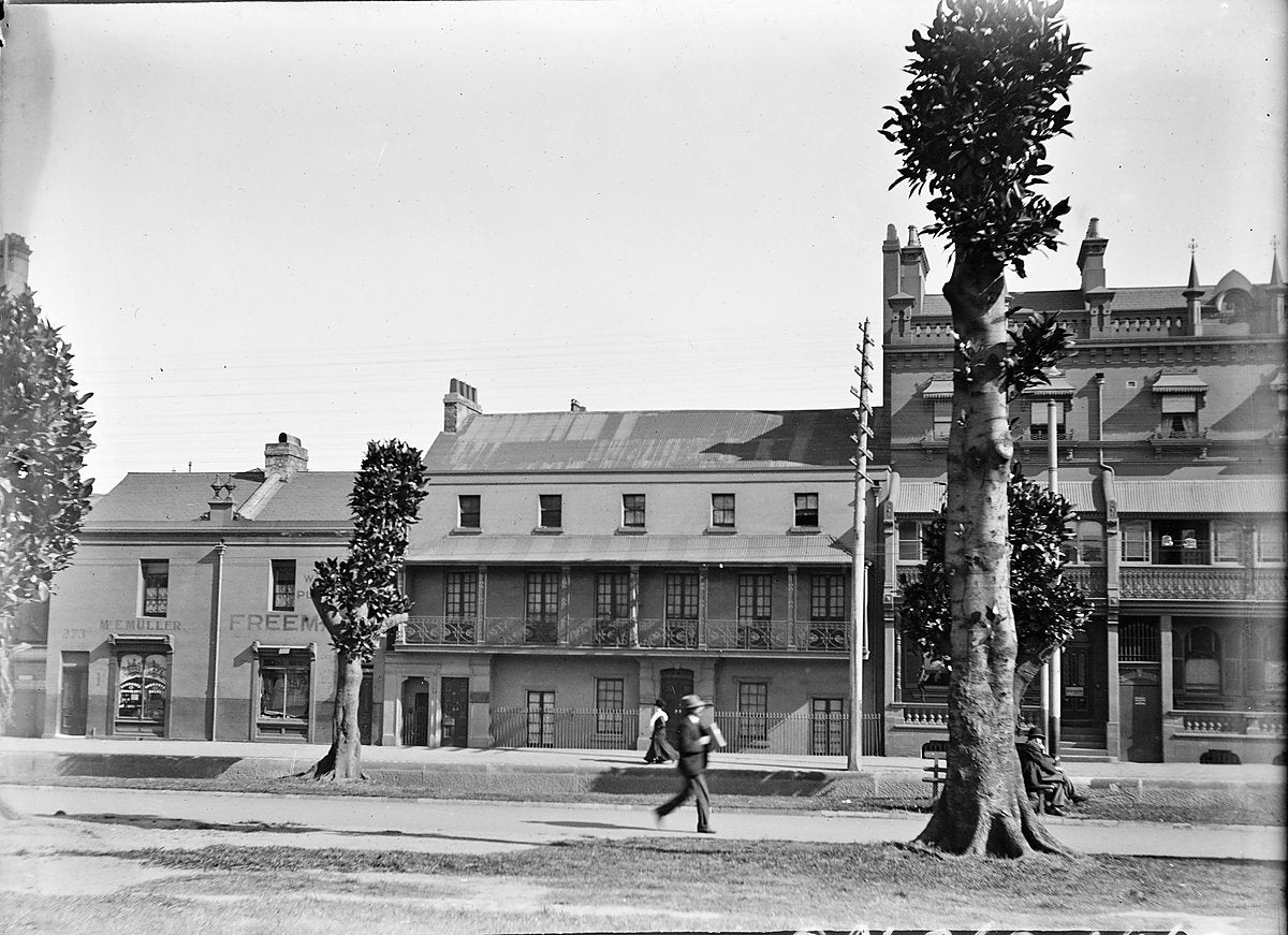 Muller and Freeman shopfronts in a Sydney terrace row — photograph, from Sydney CBD, circa 1900