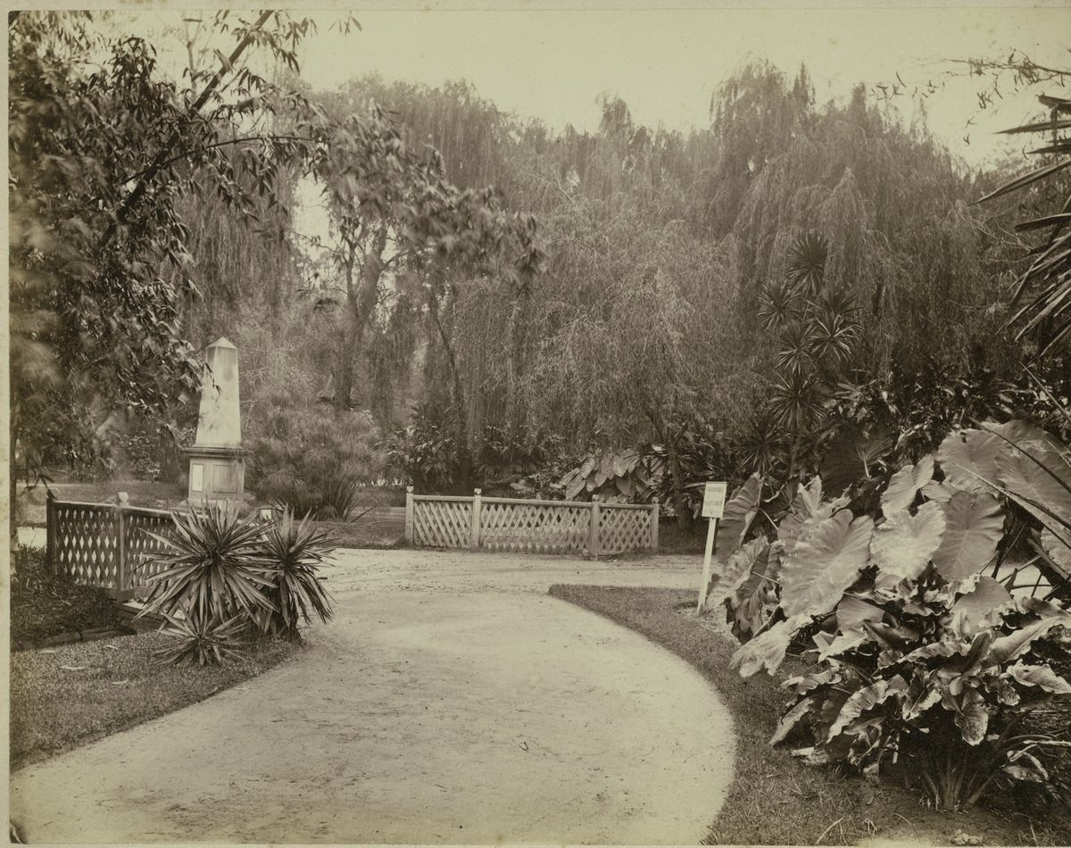 Allan Cunningham monument, Royal Botanic Gardens, Sydney — photograph, from Royal Botanic Garden, Sydney, circa 1875