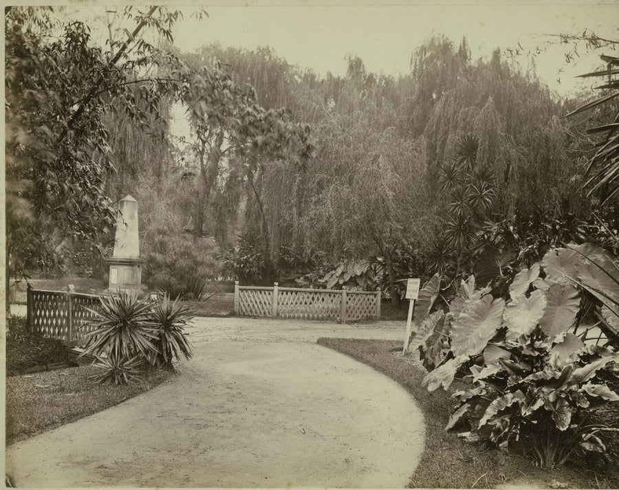Allan Cunningham monument, Royal Botanic Gardens, Sydney — photograph, from Royal Botanic Garden, Sydney, circa 1875
