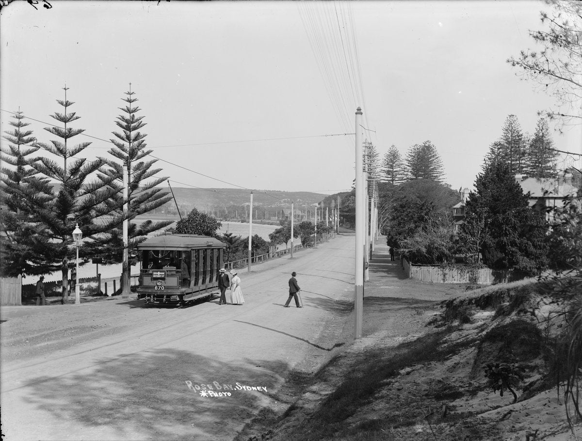 Watsons Bay tram at Rose Bay, Sydney — photograph, from Rose Bay, circa 1905