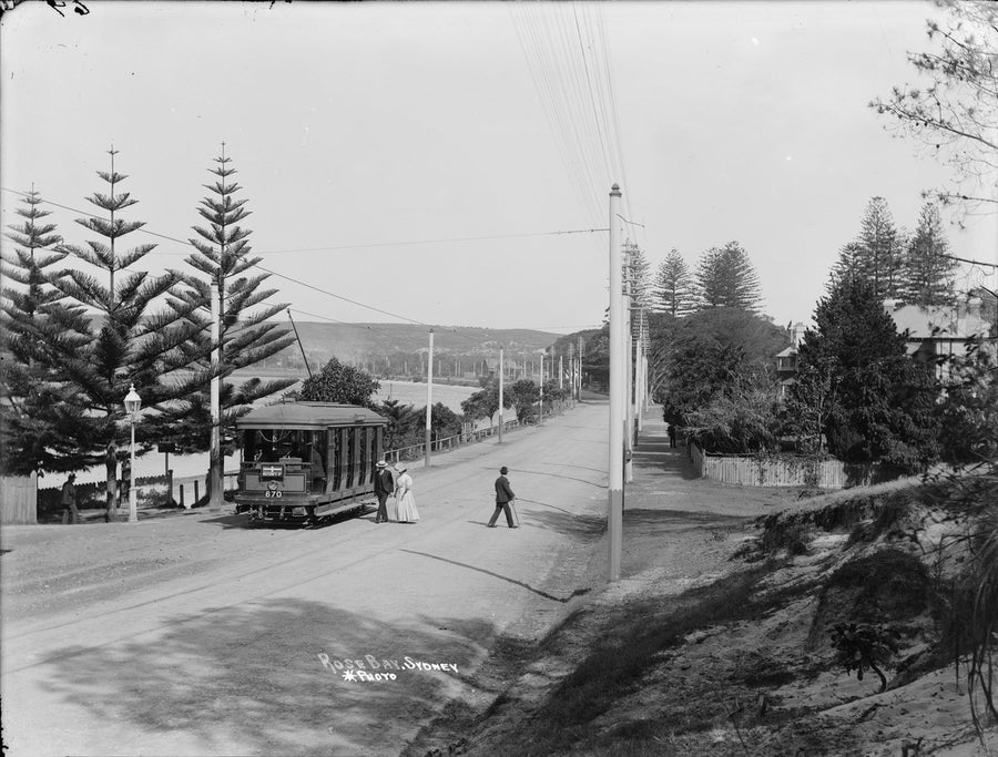Watsons Bay tram at Rose Bay, Sydney — photograph, from Rose Bay, circa 1905