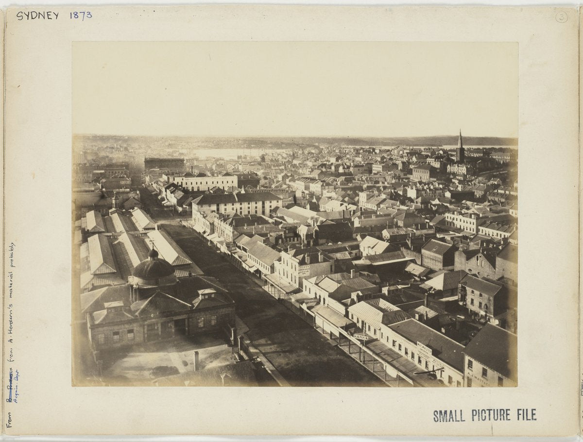 Sydney rooftops from the Town Hall clocktower, 1873 — photograph, from Sydney Town Hall, George Street, Sydney, circa 1873