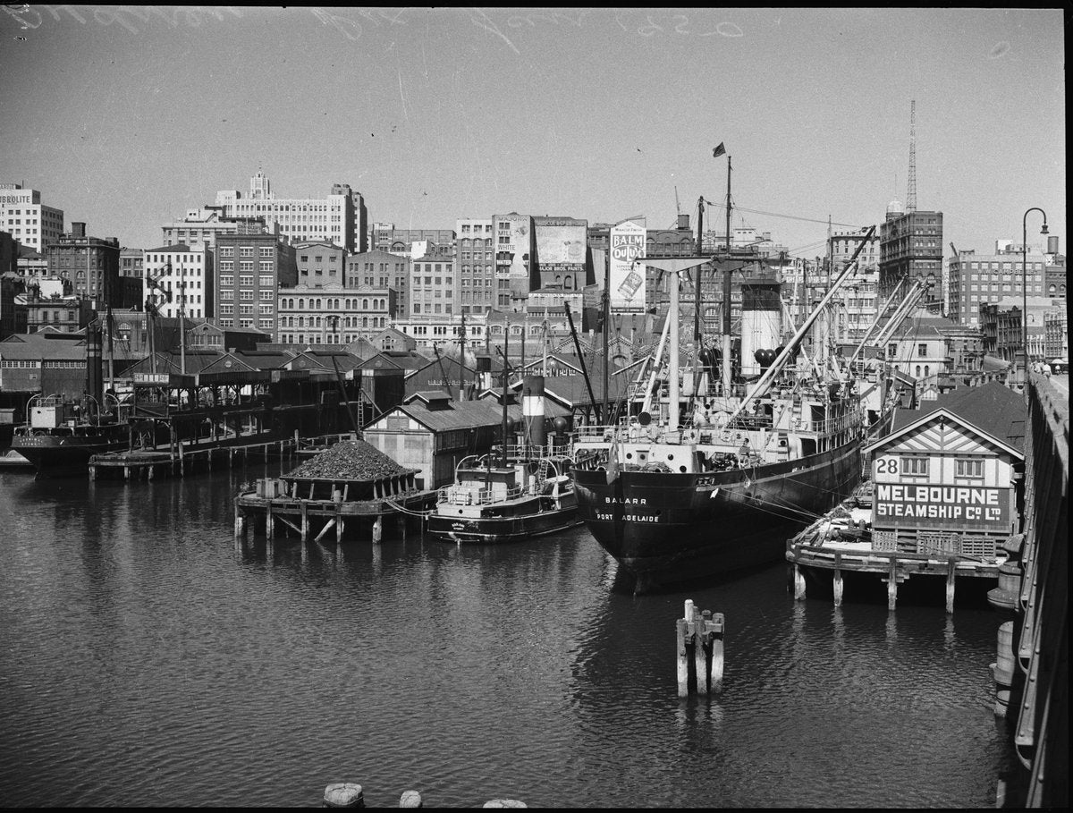 Wharf 28, Darling Harbour, with the Melbourne Steamship Co. shed and a Port Adelaide cargo ship — photograph, from Darling Harbour, Sydney, circa 1950