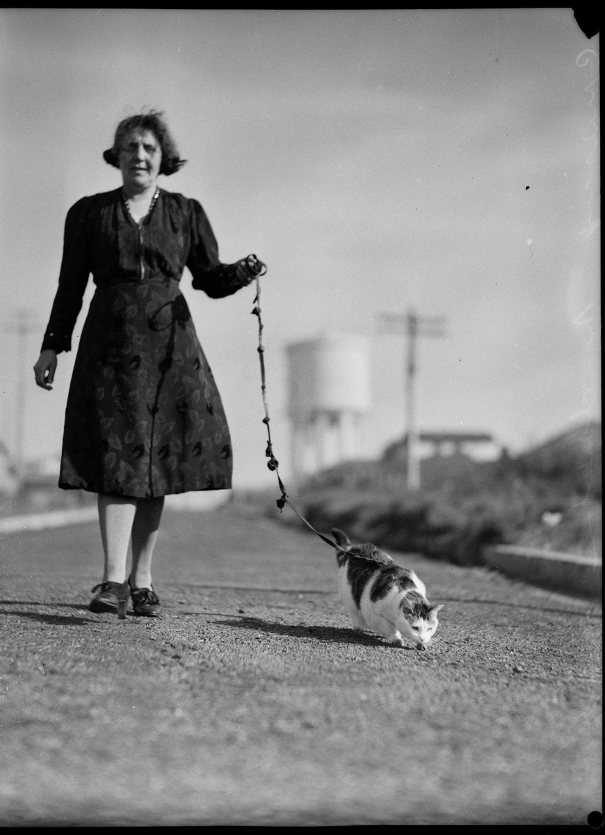 Woman walking a cat on a leash, Marrickville, 1938 — photograph, from Marrickville, New South Wales, circa 1938