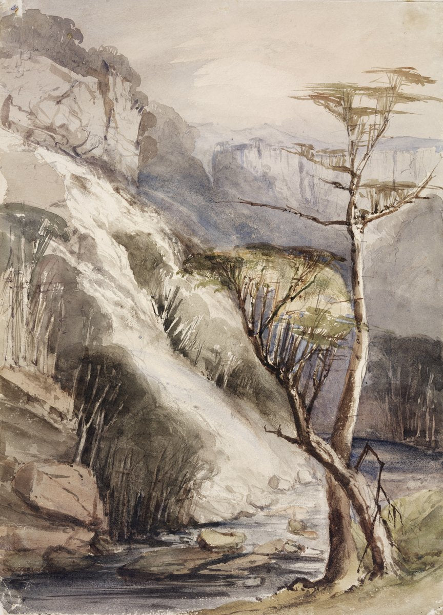 Waterfall landscape inscribed "50 Miles from Sydney" — illustration, from New South Wales, circa 1842