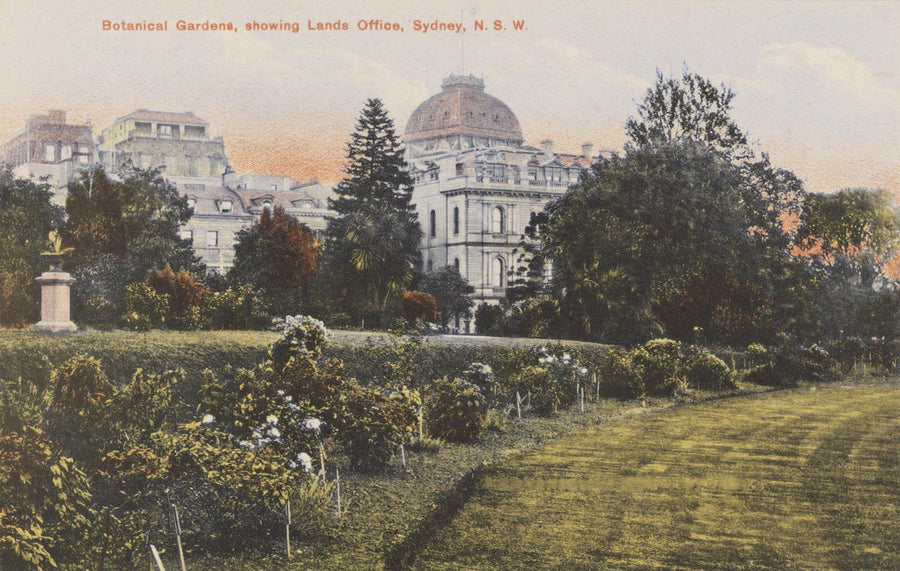 Lands Office from the Botanical Gardens, Sydney — photograph, from Royal Botanic Garden, circa 1915