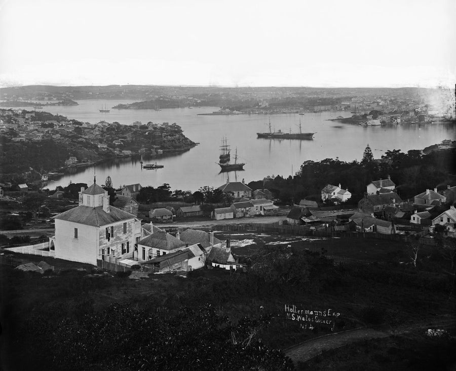 Sydney Harbour and Lavender Bay from Holtermann's house, 1875 — photograph, from Lavender Bay, circa 1875