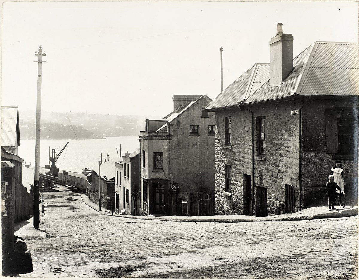 Pottinger Street running down to Sydney Harbour, The Rocks — photograph, from Pottinger Street, 1901–10