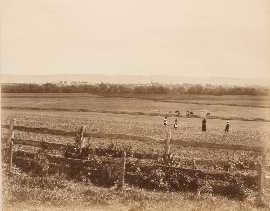 Distant town beyond fenced grazing paddocks, New South Wales — photograph, circa 1875