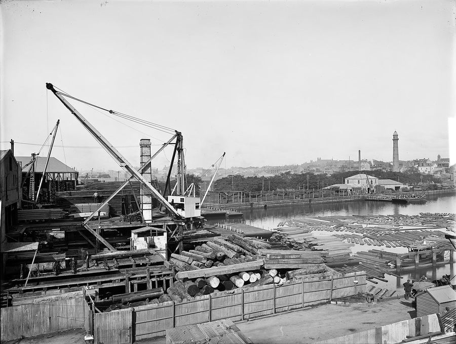 Logs stacked at Hudson's Timber Yard, Blackwattle Bay — photograph, from Blackwattle Bay Park, c. 1922