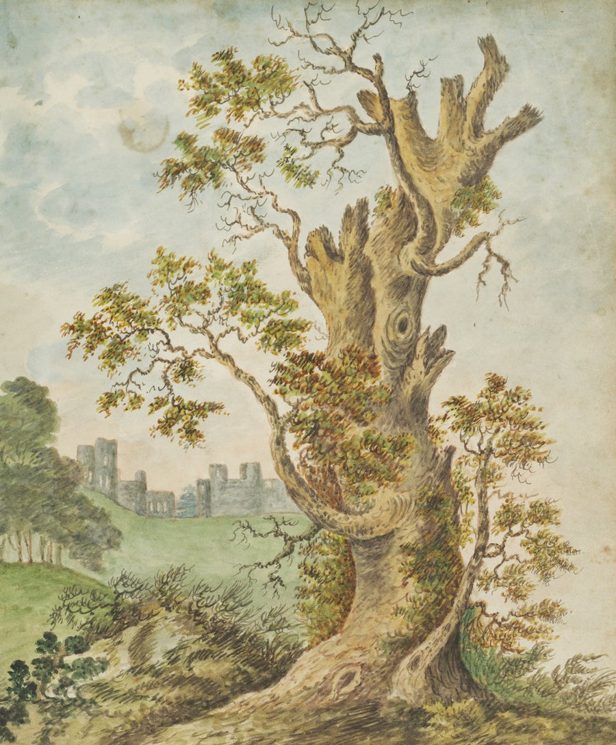 Gnarled tree with a distant house, inscribed 'Mrs Kerr' — illustration, circa 1837