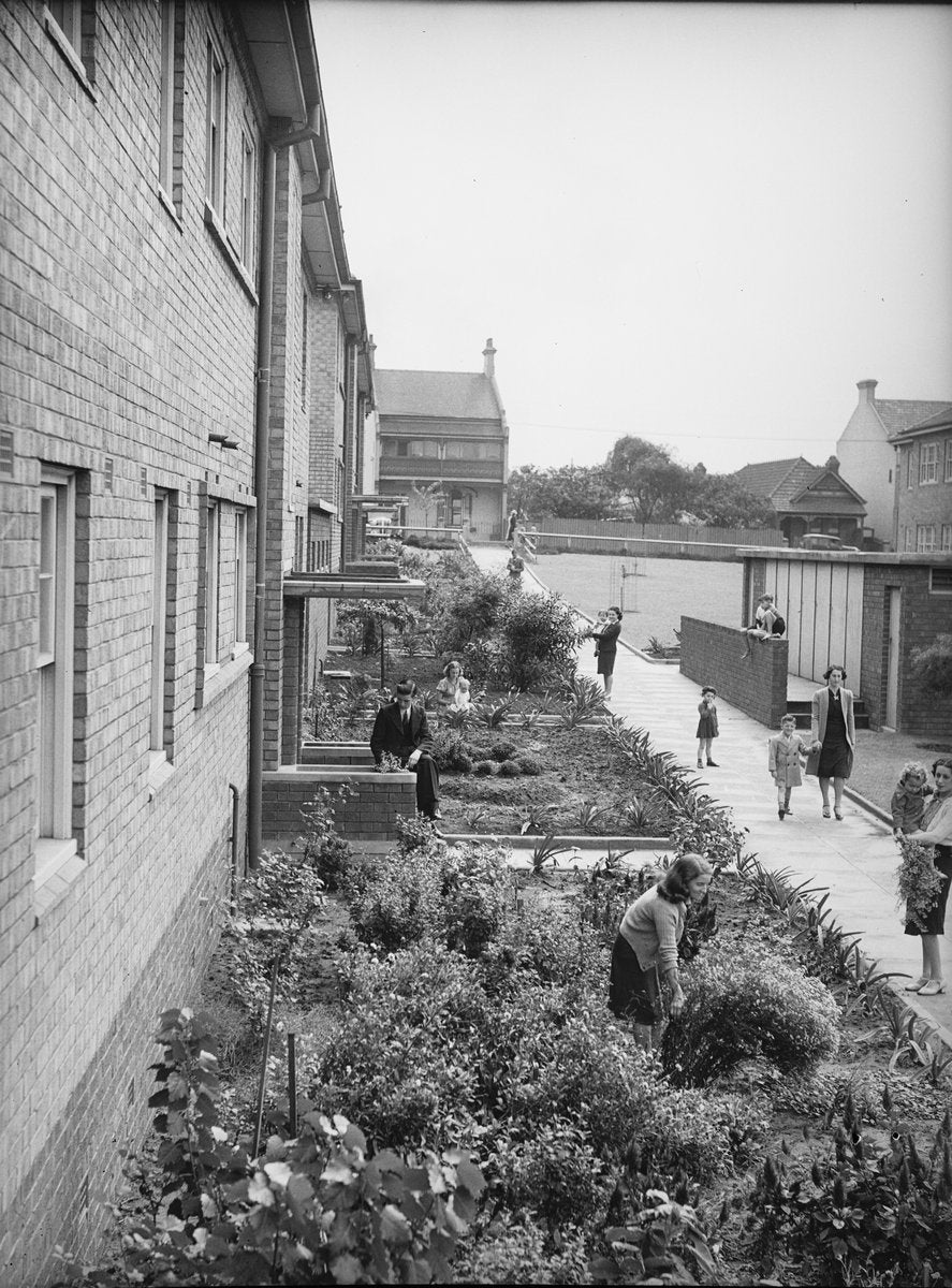 Garden beds beside an Erskineville flat block, 1940 — photograph, from Erskineville, Sydney, circa 1940