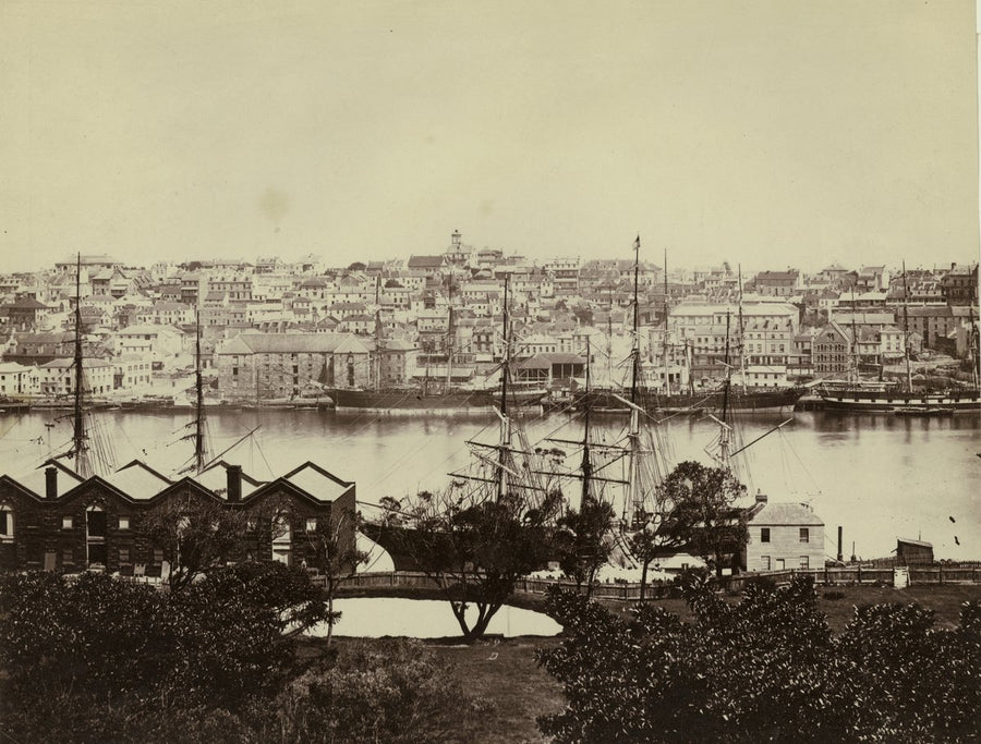 Circular Quay and The Rocks from Government House Tower, 1870 — photograph, from Sydney CBD, circa 1870
