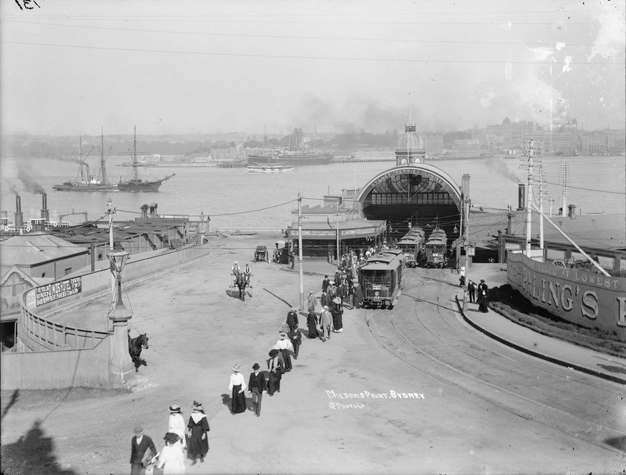Trams at the Sydney Ferries terminal, Milsons Point — photograph, from Milsons Point, circa 1905