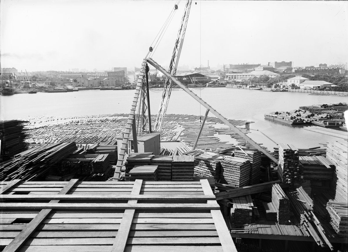 Timber stacks and crane at Hudson's yard, Blackwattle Bay — photograph, from Blackwattle Bay, circa 1922