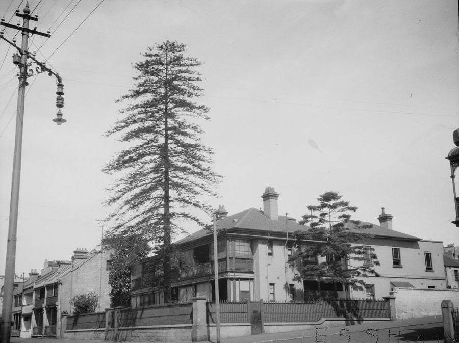 St Kilda House, Cathedral and Palmer Streets, Woolloomooloo, 1925 — photograph, from Cathedral Street, circa 1925