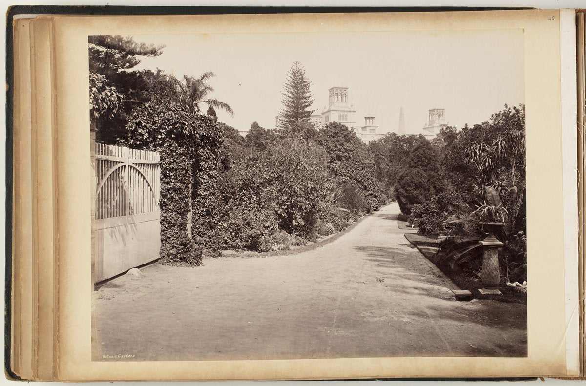 Carriageway and gate in the Botanic Gardens, Sydney — photograph, from Royal Botanic Garden, Sydney, circa 1870