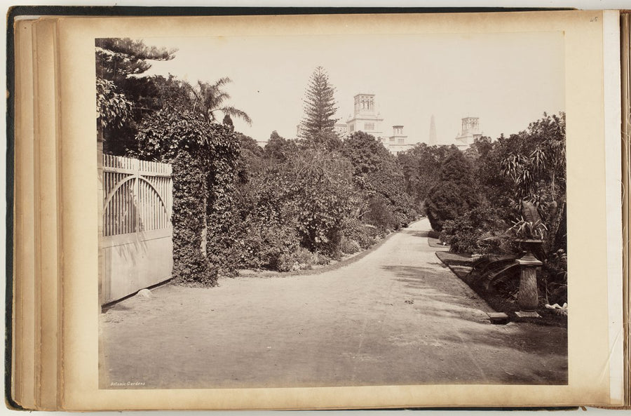 Carriageway and gate in the Botanic Gardens, Sydney — photograph, from Royal Botanic Garden, Sydney, circa 1870