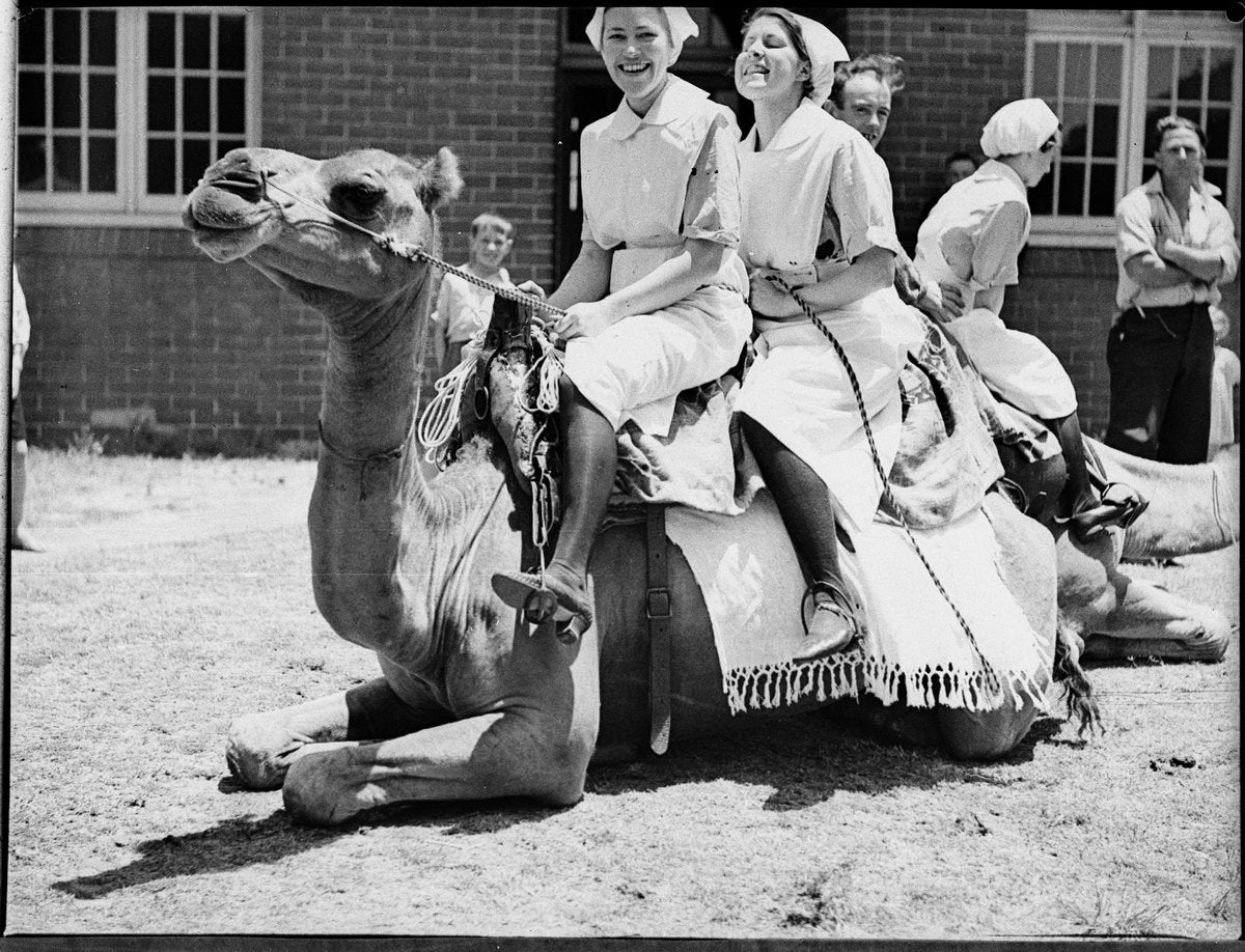 Nurses on a camel, Royal South Sydney Hospital Christmas party — photograph, from Royal South Sydney Hospital, Zetland, circa 1936