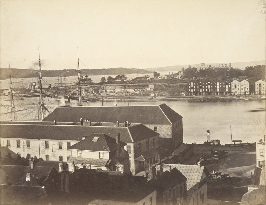 Circular Quay shipping, Government House in the distance — photograph, from Sydney CBD, circa 1876