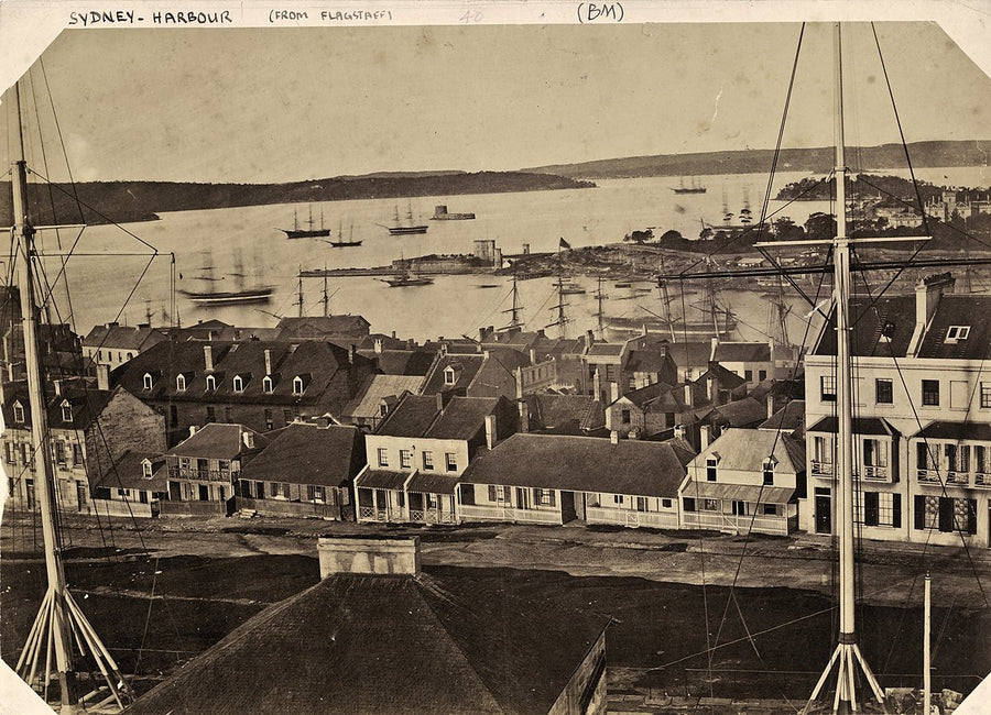 Sydney Harbour from Flagstaff Hill, with Fort Denison at centre — photograph, from Observatory Hill Park, before 1870