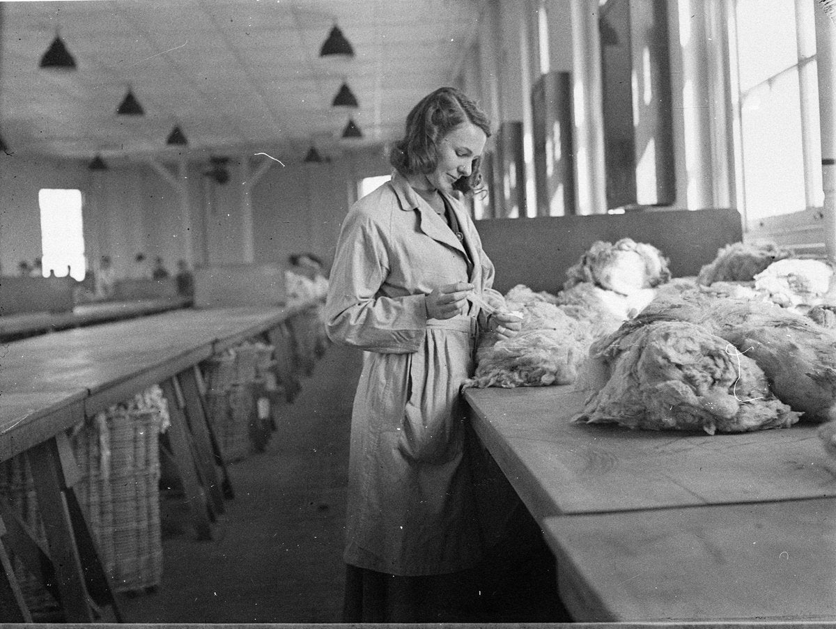 Wool classing instruction, East Sydney Technical College, 1949 — photograph, from East Sydney Technical College, Darlinghurst, NSW, circa 1949
