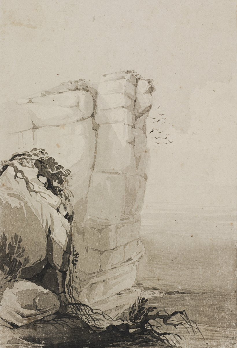Sea stack and seabirds, cliffs near Bondi — illustration, from Bondi, circa 1847